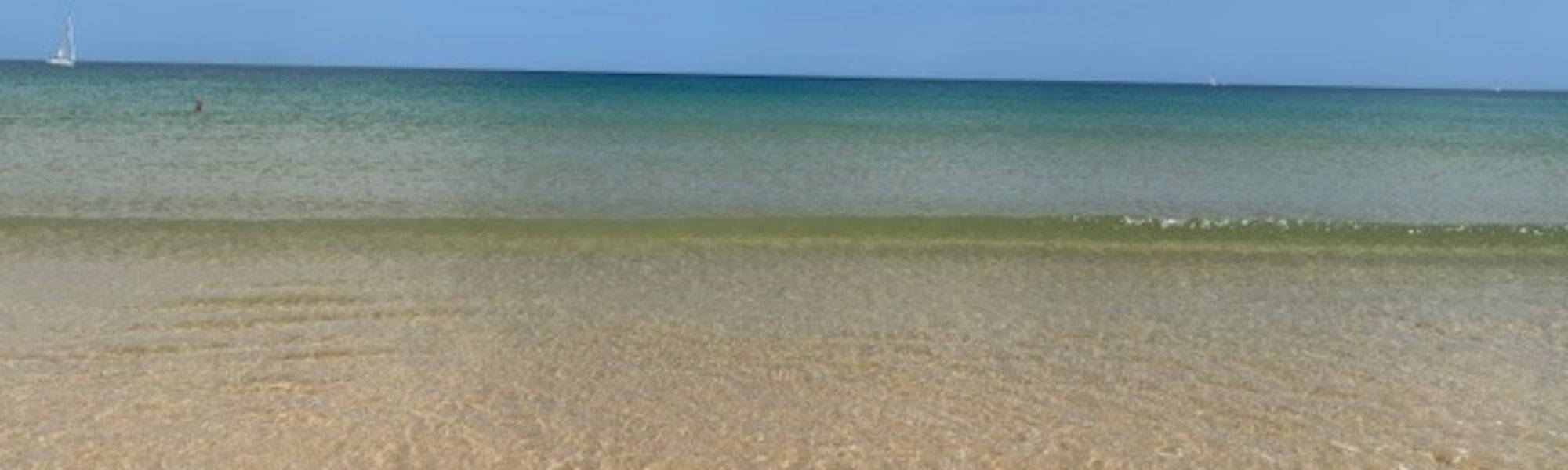 Banner Default Image